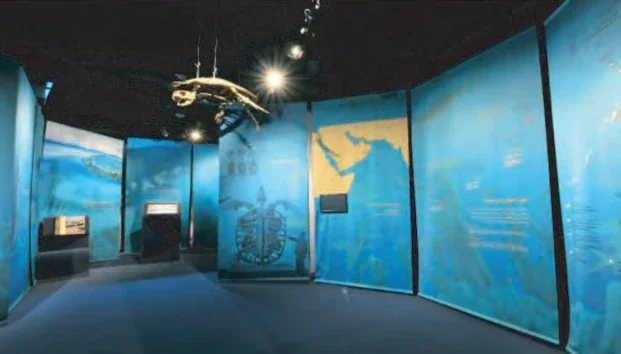 Digital art installation by Creative Elements in the visitor area of the Ras Al Jinz Turtle Reserve